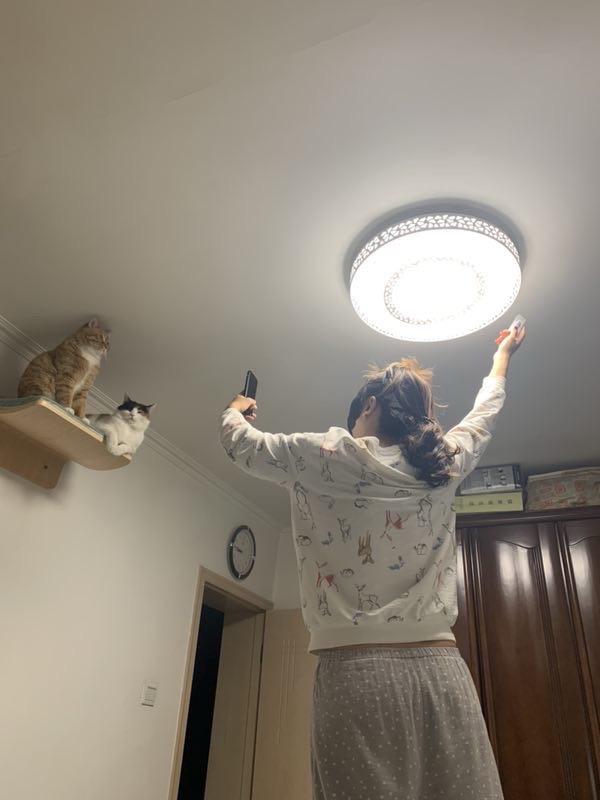 猫：我妈真是摄影天才