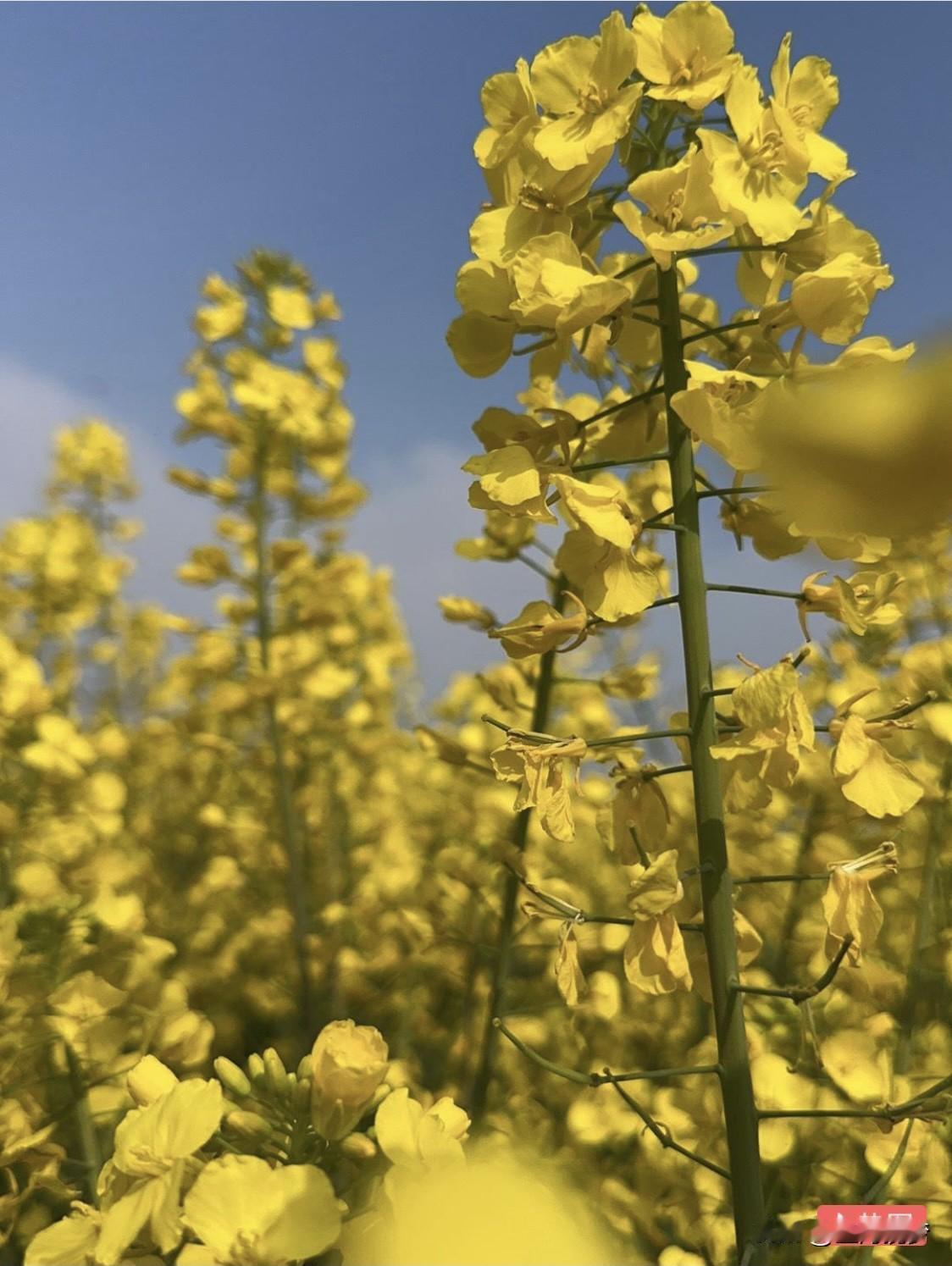 教育孩子的方式真是五花八门，我比较喜欢尊重与理解为基础的教育方式。每个孩子都是独