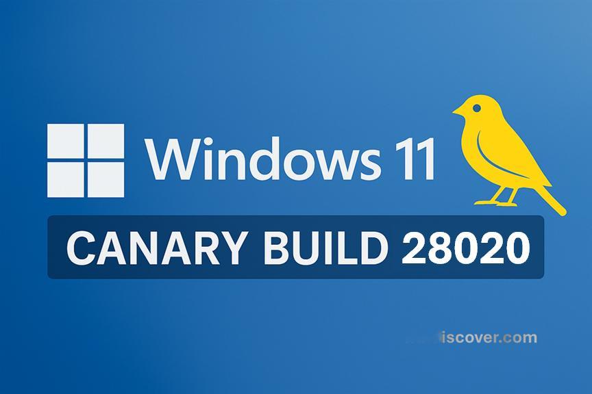 今日，微软向 Canary 分支推送了新的预览版更新 Windows 11 Bu