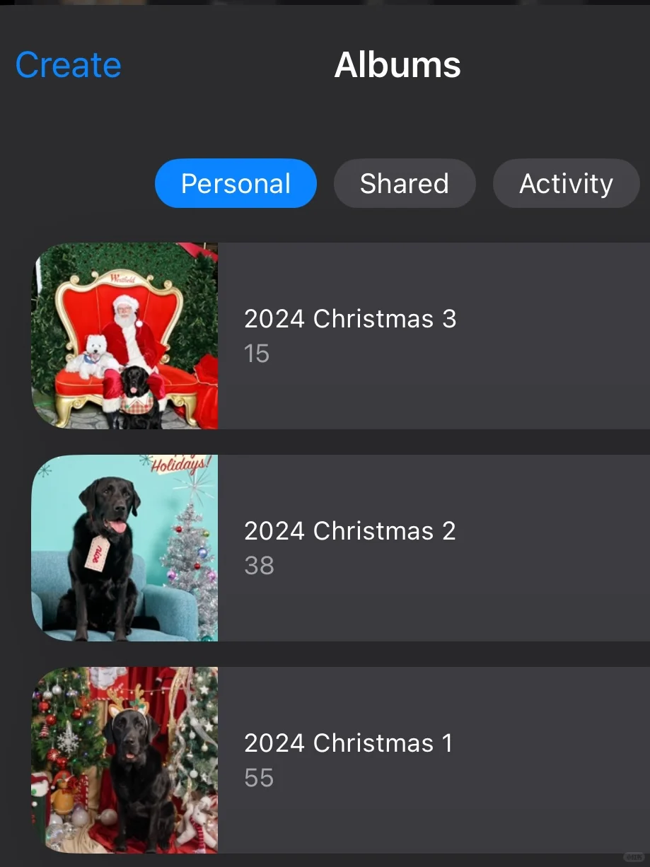 今年的小狗圣诞照任务 圆满完成 ✅