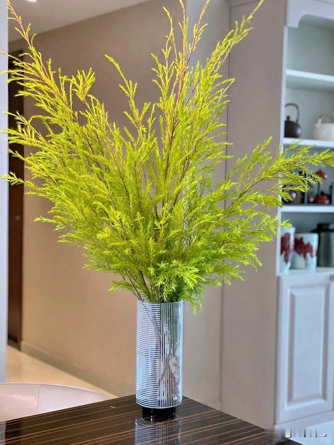 愿我们锐气不减！
天是冷了❄❄❄❄
但心里的热乎劲儿没减
把烦恼藏进厚衣服口袋