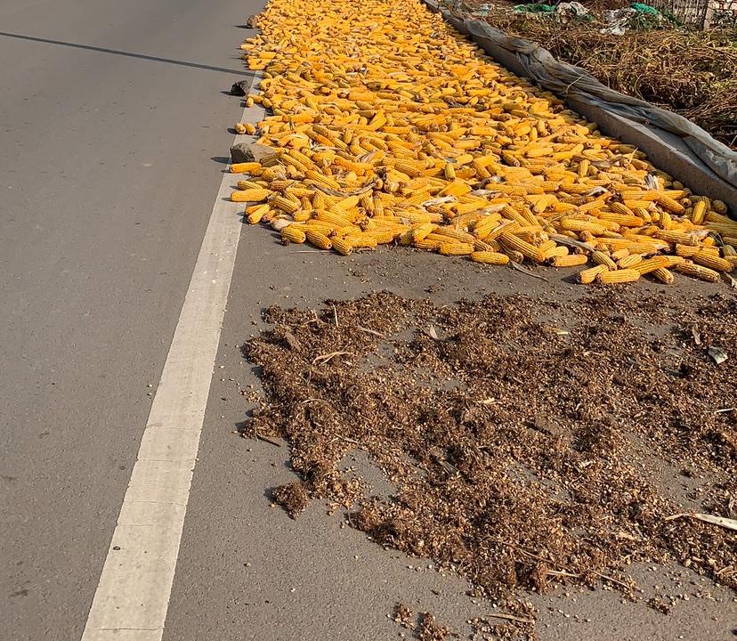 老伯解文｜从二十四史看“秋后问斩”

“秋后问斩”是中国古代最深入人心的死刑执行