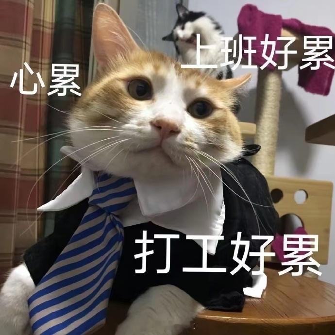 银行 午休挺好的，中午银行还要专门留一个人值班，怪辛苦的，午休也不错，希望其他银