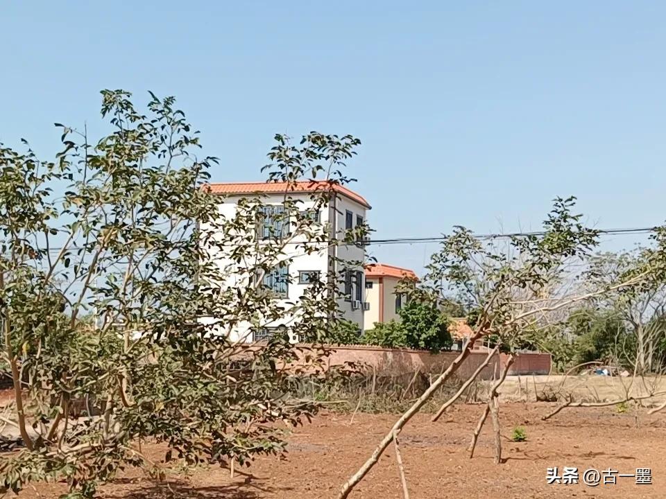 我离婚后,
前夫给了我80万，
还有一套市里150平方的房，
腊月二十八回家，