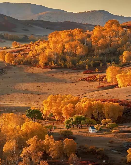 我是赤峰人，一直没想明白，内蒙古赤峰市的车牌是蒙D,而乌海则是蒙C，排名在赤峰前