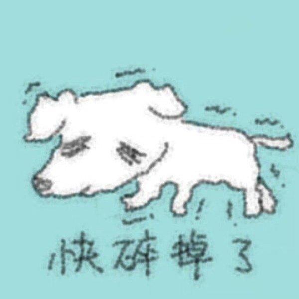 可爱小狗表情包🐶#表情包# ​​​
