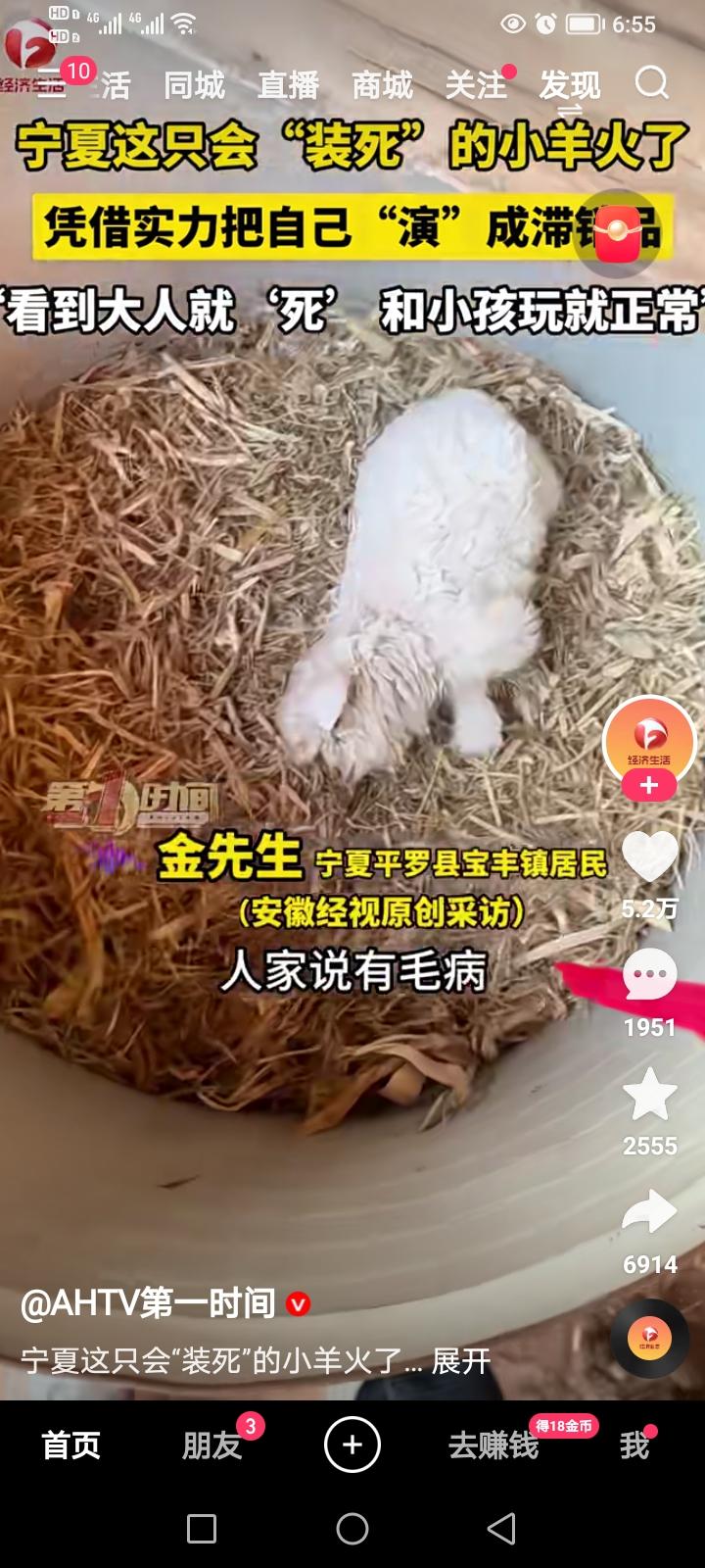 近日，宁夏平罗县宝丰镇的一只小羊冲上了热搜：这只小羊拿到集市上卖时，有大人靠前，