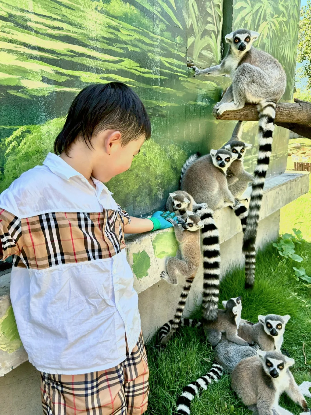 武汉的动物园果然遥遥领先。。。互动100%