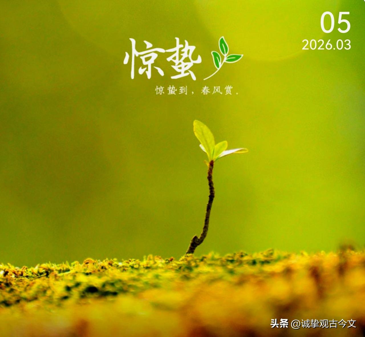 惊蛰春雷响，万物皆兴旺！愿你也如这春日万物，朝气蓬勃，充满希望！