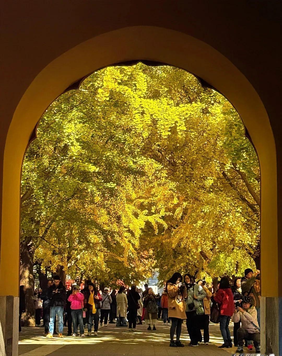 别一股脑把底牌摊桌上。
职场不是辩论赛，是麻将局——你得留一张王牌，才能胡最后的