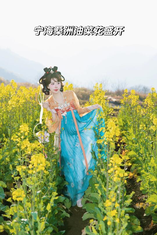 宁海桑洲｜油菜花盛开了，美得像一幅画！