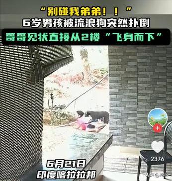6岁男孩被流浪狗扑倒，哥哥听到哭喊声从2楼飞身而下，驱赶流浪狗救下弟弟。这事发生