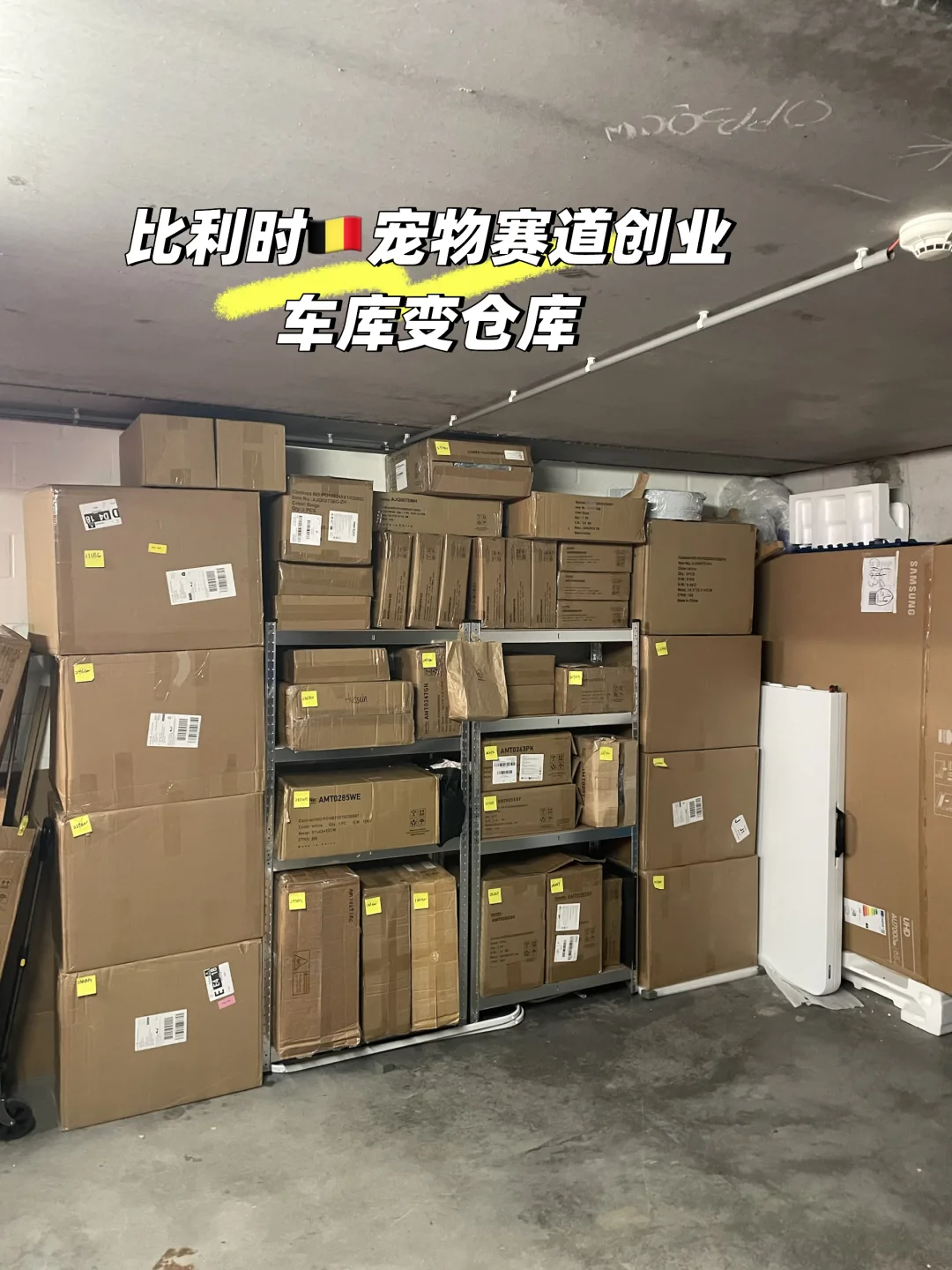 比利时🇧🇪宠物赛道创业｜整理仓库+升级pro