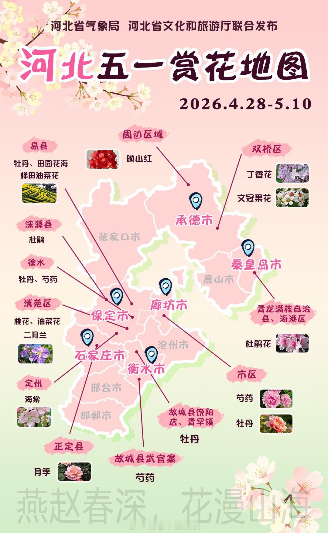 河北省长希望大家不仅周末到河北给我的家乡打个cool，再附上一张赏花图，欢迎大家