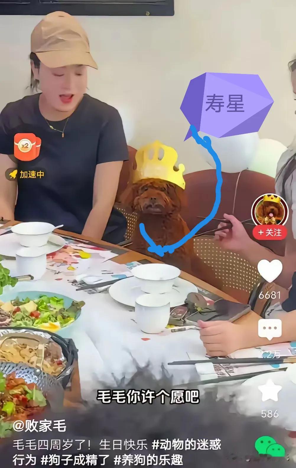 如今宠物忒幸福，
主人视它为祖宗。
日常同吃又同睡，
出门把它抱怀中。
君若不信
