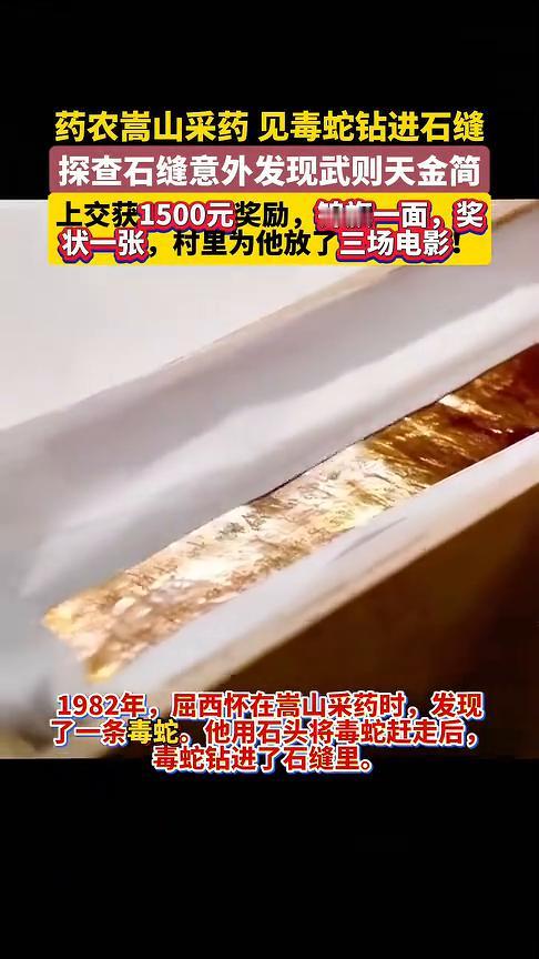 药农嵩山采药见毒蛇钻进石缝，探查石缝意外发现武则天金简，上交获1500元奖励，锦