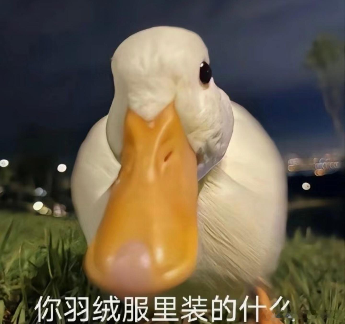继姨妈巾、零食（良品铺子）之后，羽绒服也中招了。普遍性的造假和质量问题背后，可能