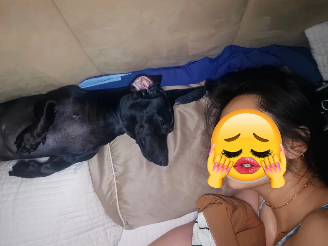 起猛了，睁眼看到了霸王龙