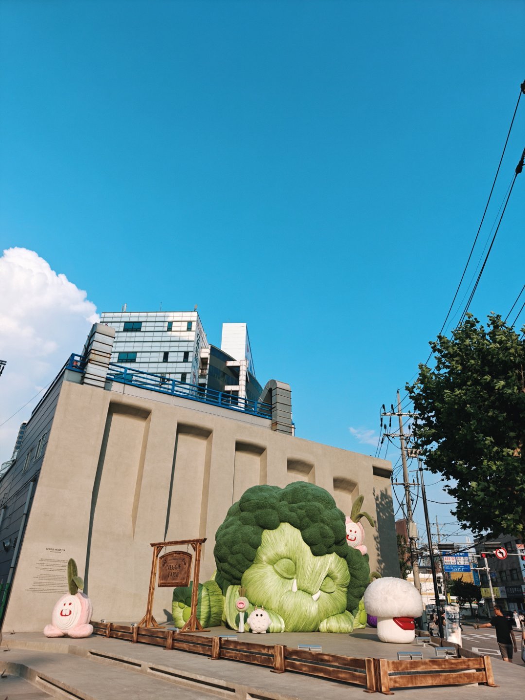 韩国时尚产业的能力还可以，但还是远比不上日本，不过日潮和韩潮还是不一样。 