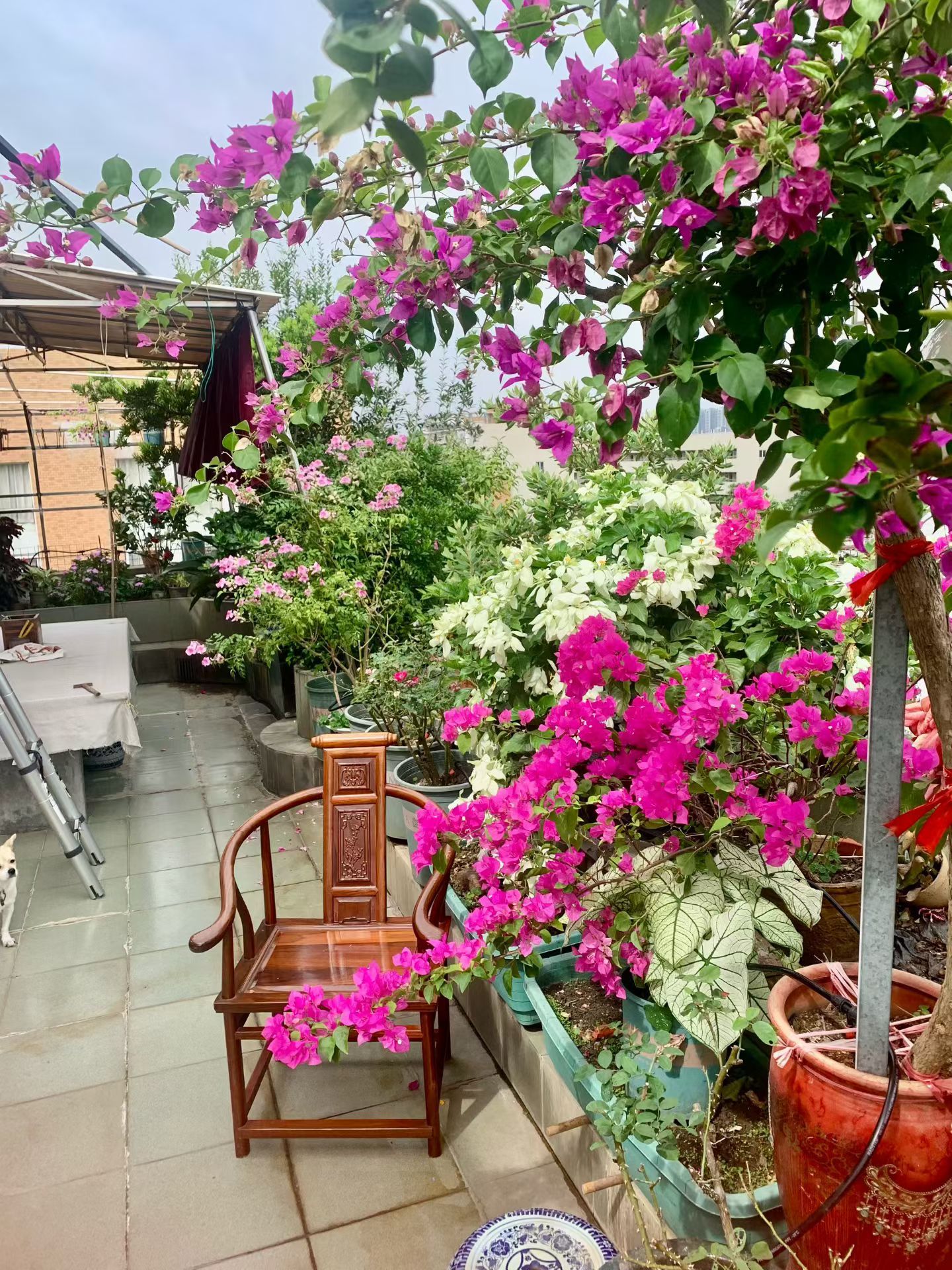 家中发呆 ​​​