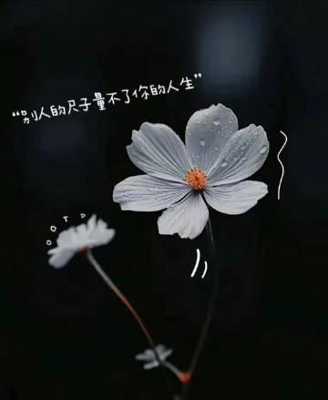 少操闲心，莫说闲话，干好份内之事，照顾好家人，锻炼好身体，人生下半场，比的是心态