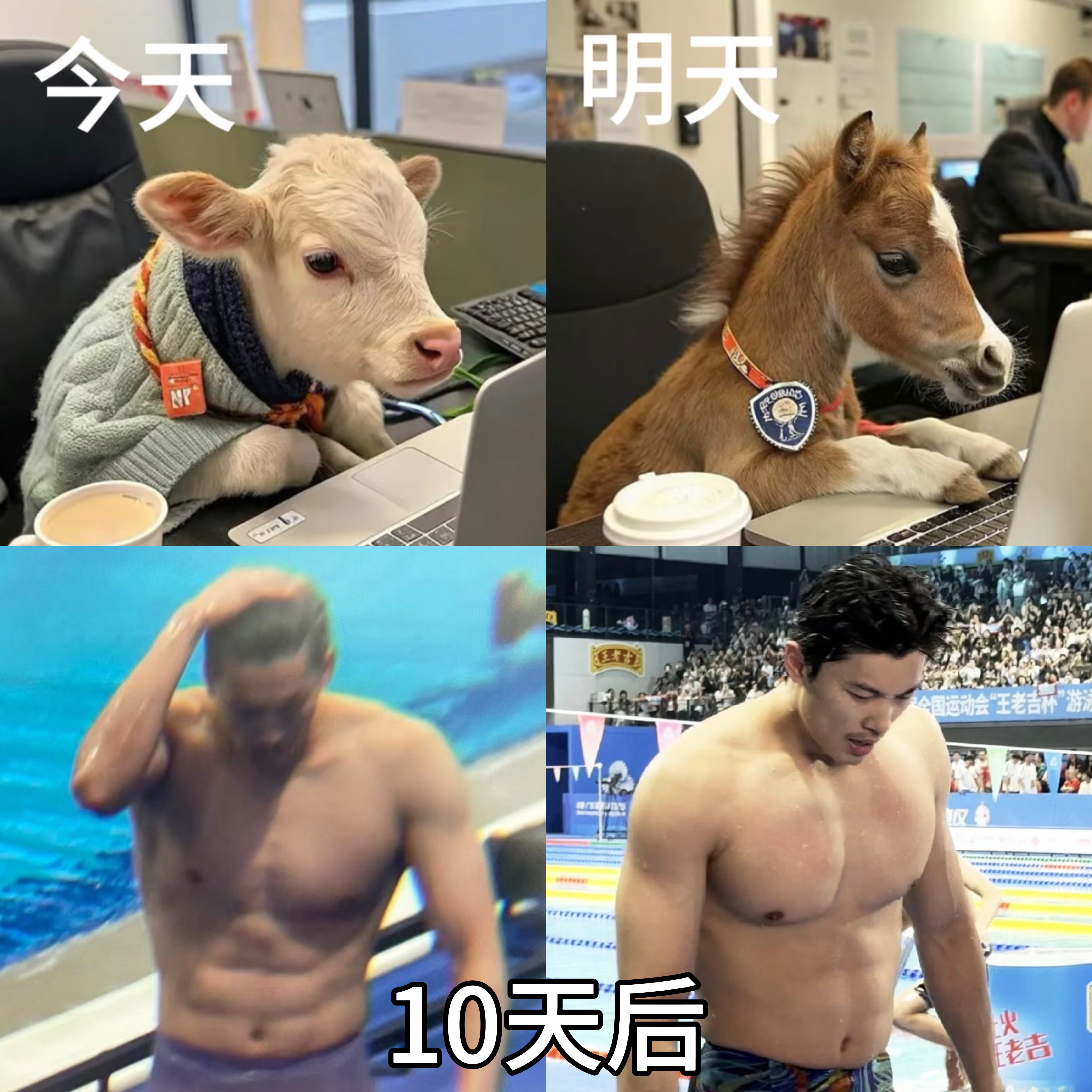 我就每天这样给自己打气