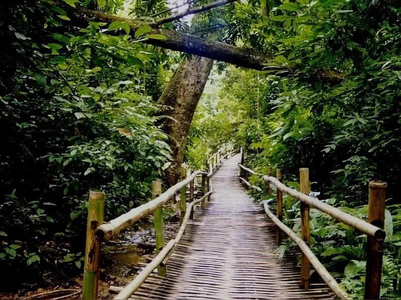 西双版纳风景
