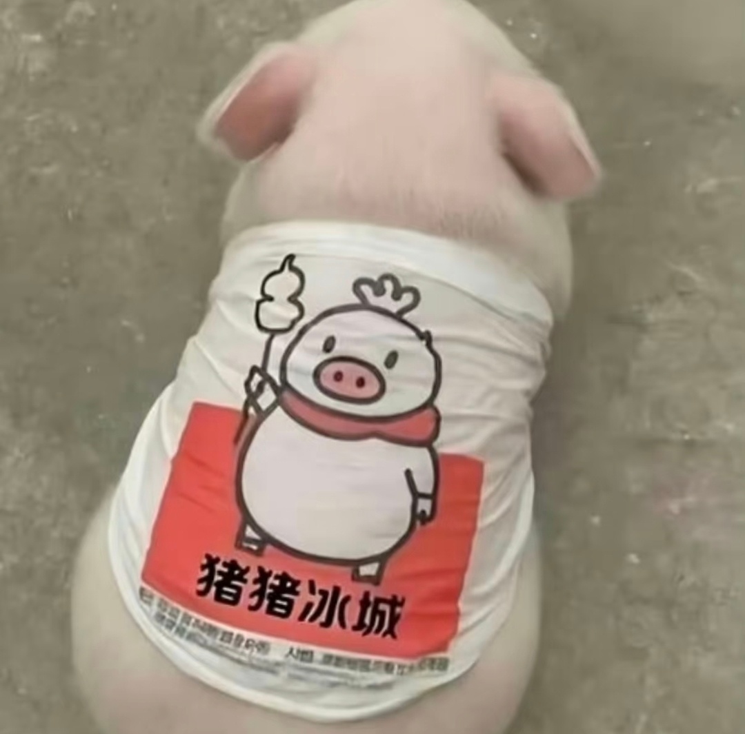 他笑着哭来着 