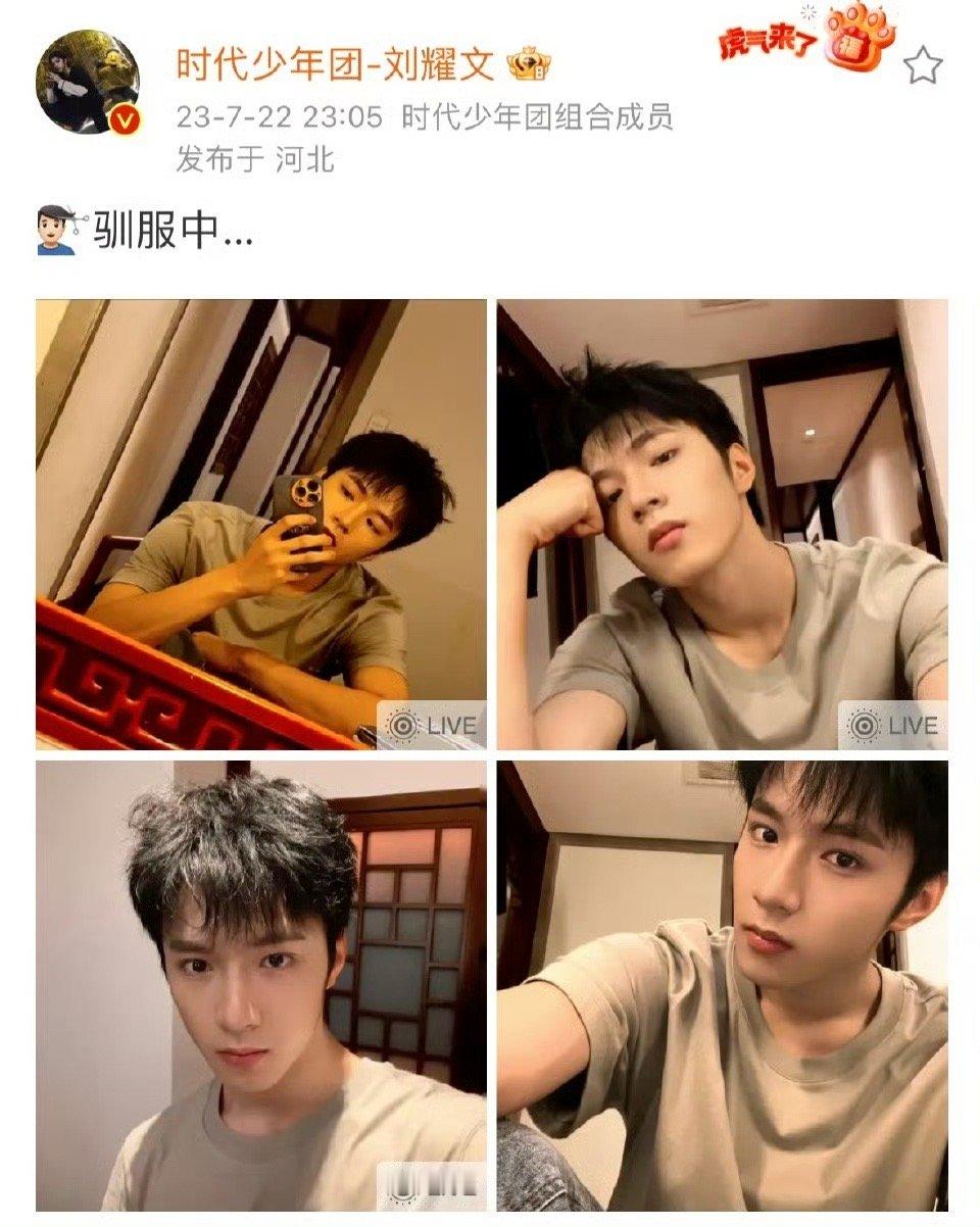 刘耀文新发型还没驯服  众所周知，刘耀文的微博是个连续剧[好喜欢]新发型演唱会见