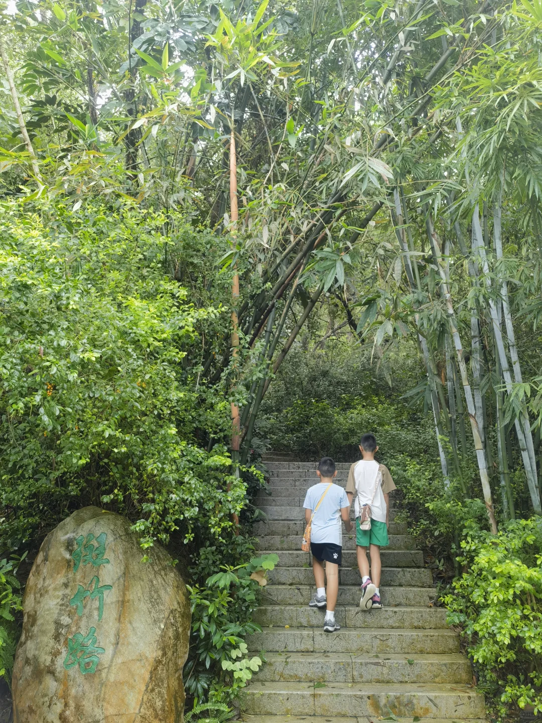 还有多少初中生家庭在坚持每周一山？