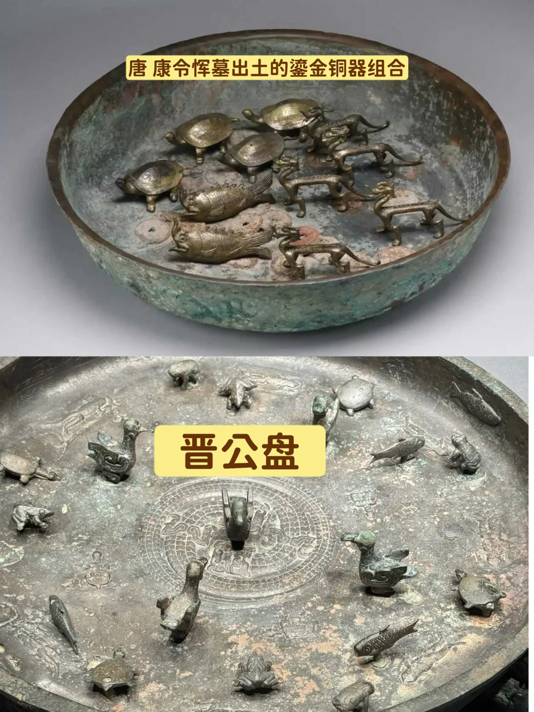从古至今 ，养乌龟才是正事