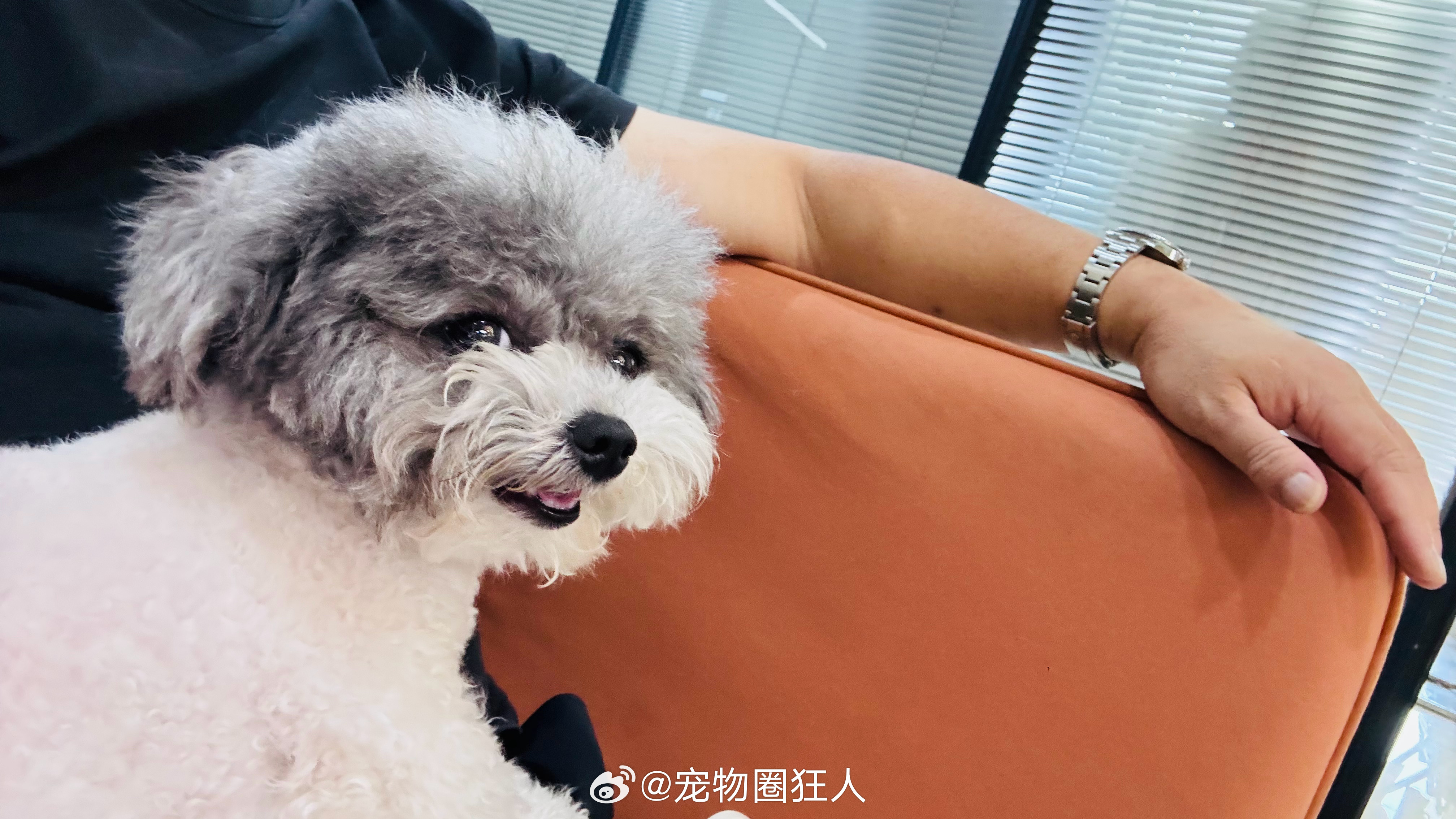朋友的漂亮修勾 