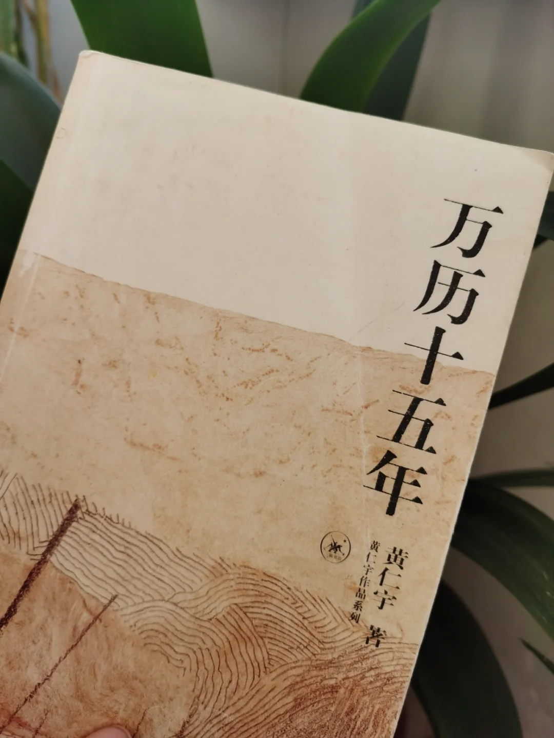 万历十五年，为何让他经久不衰❓