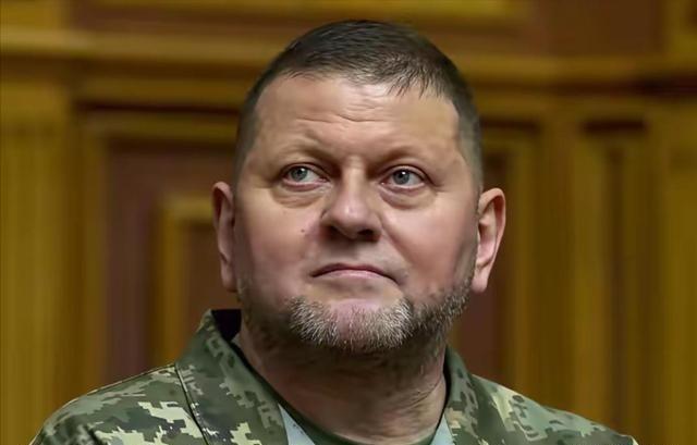 仗打完了，事就完了？乌克兰前总司令扎卢日内最近发出警告：等俄乌冲突一结束，乌克兰