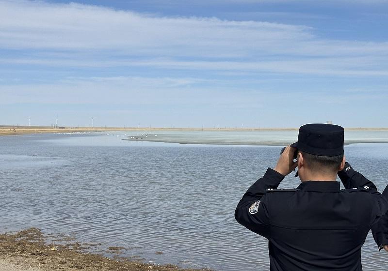 【阿巴嘎旗警民联动护航候鸟迁徙】近日，随着春季候鸟大规模北迁，阿巴嘎旗公安局环食