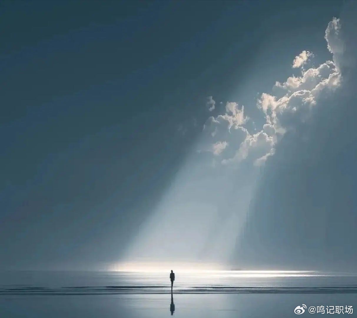 成年人的世界，都是在不动声色的淘汰别人。 
