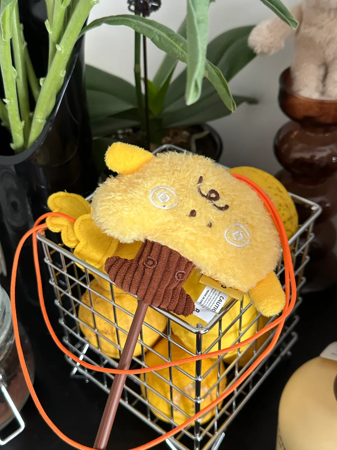 摇钱树🧸替大家试过了这猫咪玩具猫咪很爱玩