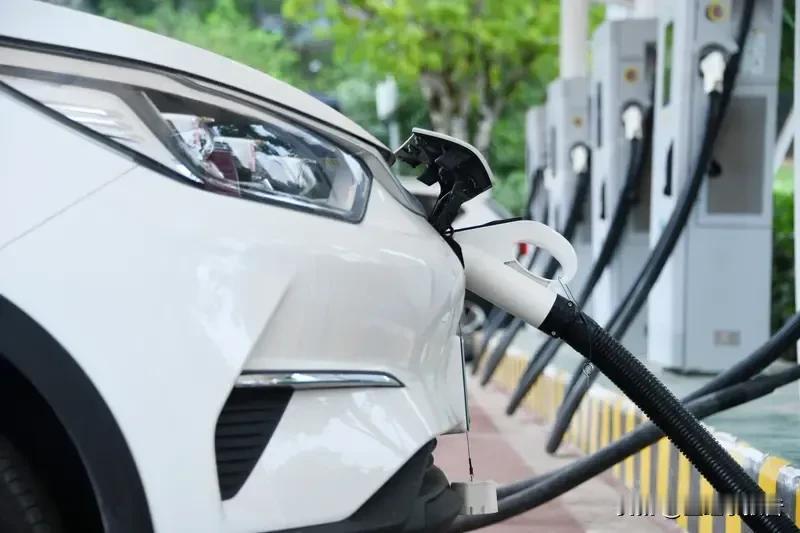 买电车本来想省钱的，可用了一年后盘点下竟然比油车还费钱。
        去年刚