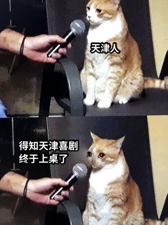 救命🆘曹保平这个“人贩子”拐天津人了‼️