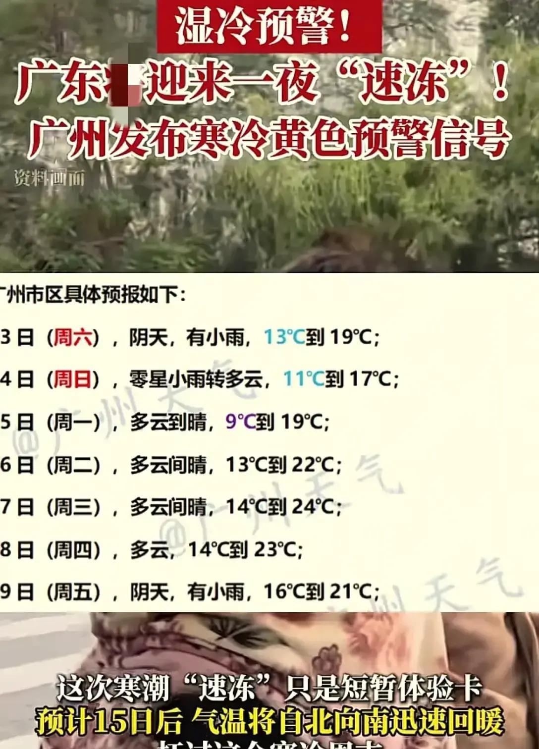 广东的冬天，总爱玩这种突然袭击的把戏！13日一早，冷空气就从北边杀进来，裹挟着雨