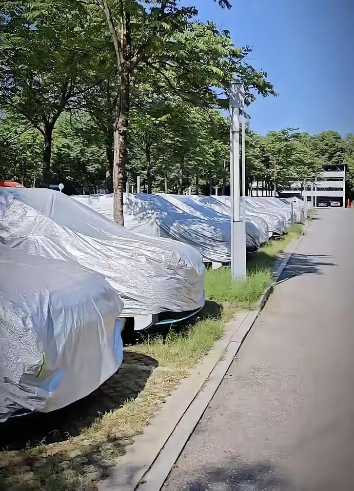 百度的萝卜快跑怎么了？
想体验下无人车的感觉，手机下了订单，结果系统提示："当前
