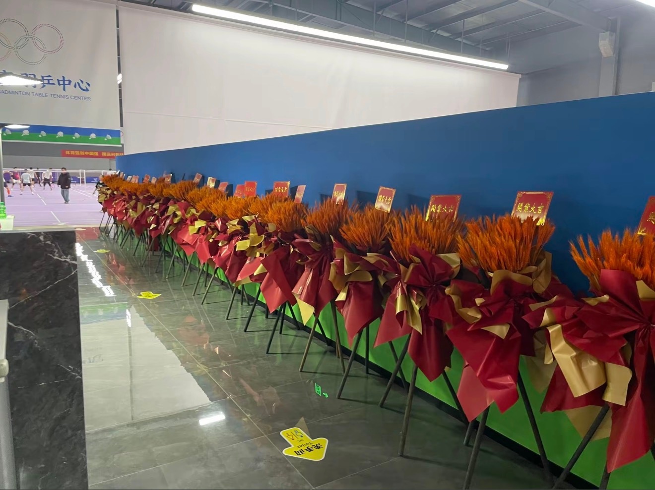 陈梦 国球热土，新馆启航！✨ 陈梦乒乓球俱乐部，明日正式启幕聚焦2026-3-2