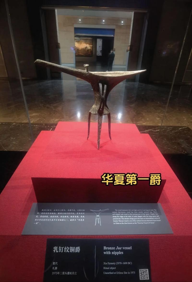 这件不起眼的灰陶上，刻着的水纹痕迹和碳化稻粒痕迹叠在一起，直接戳破了传说的滤镜：