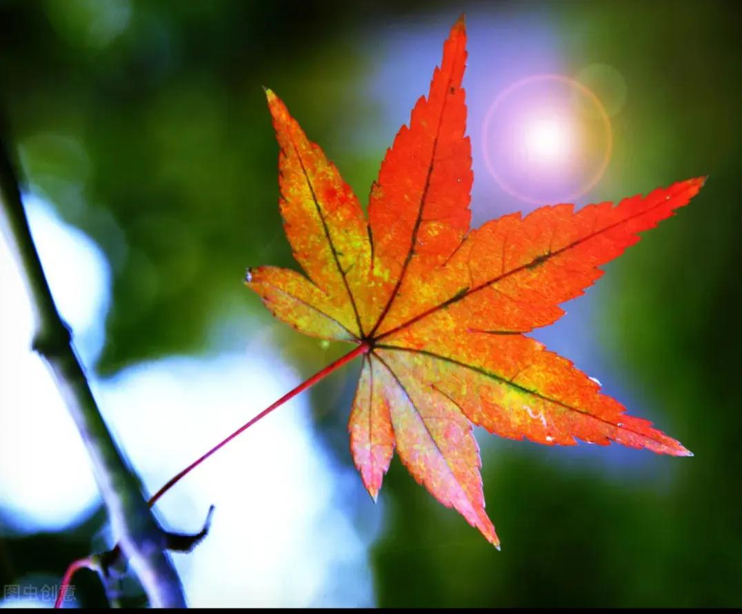 昨天刷到一篇文章，是一位记者写的采访，步入社会30多岁一个营销人员。

看见记打