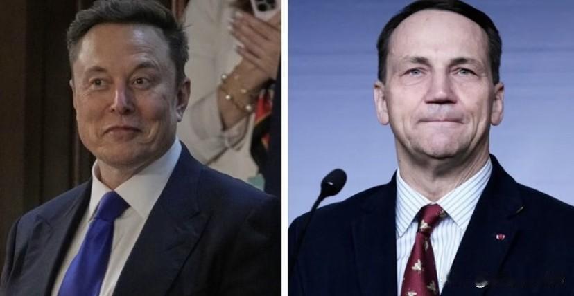 实在没忍住笑崩了！马斯克公开骂波兰外长是“流口水的低能儿！”起因是波兰外长西科尔