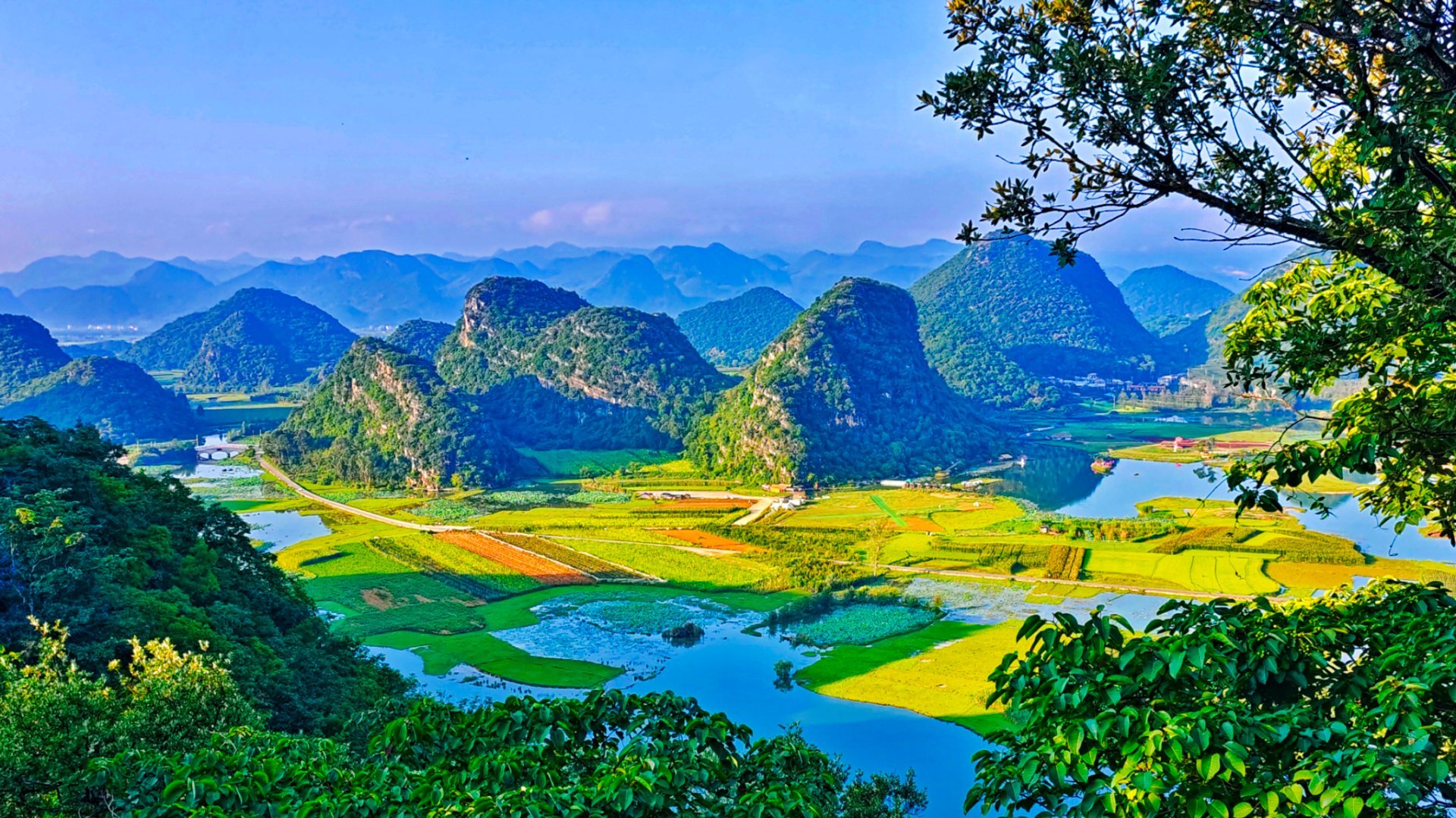1588米的景，粉丝们先赏[比耶] ​​​