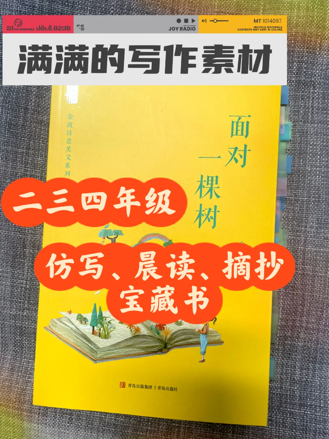 小学生仿写、摘抄、晨读 宝藏书✅《面对一颗树》