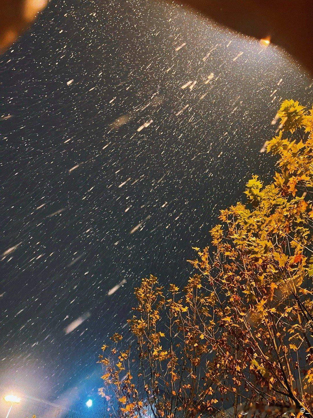 你和冬天一起来了❄️ 