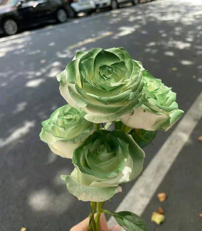 “最近很火一句话，有了物质，细节会淡化，没有物质，细节会放大，上了年纪的快乐，都