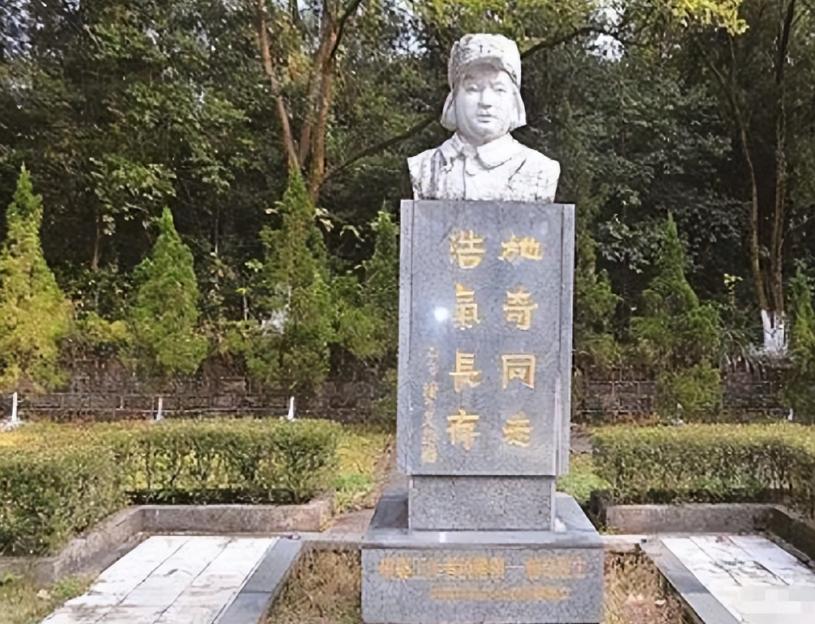 1941年1月，施奇被捕，敌人见她不屈服，就把她活埋，当泥土将施奇全部埋没时，敌